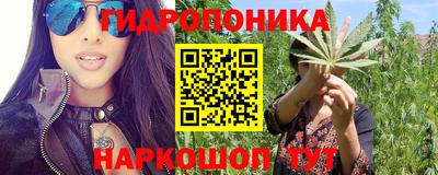 ПСИЛОЦИБИНОВЫЕ ГРИБЫ Обь