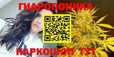 ПСИЛОЦИБИНОВЫЕ ГРИБЫ Обь