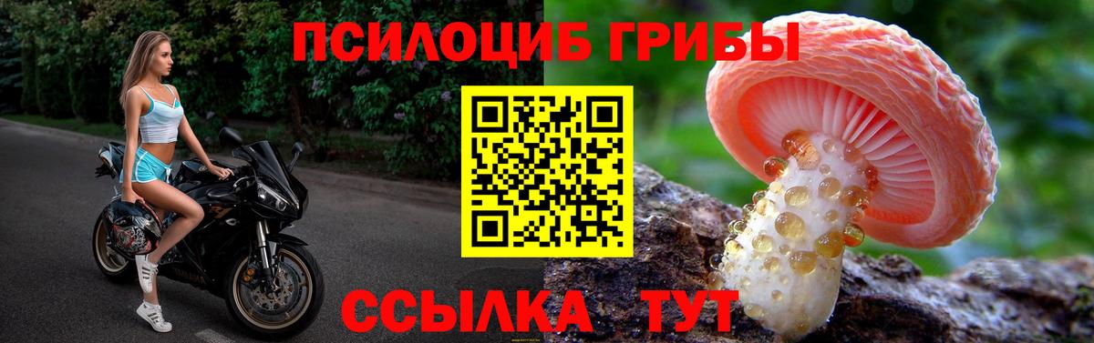 Псилоцибиновые грибы Psilocybe  дарнет шоп  Шелехов  Вход с VPN 